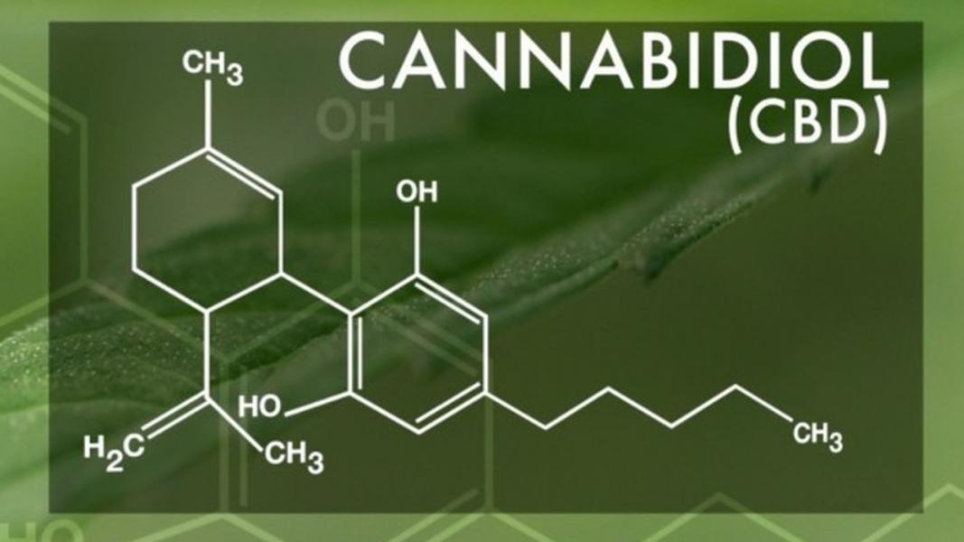 WHAT IS CBD?